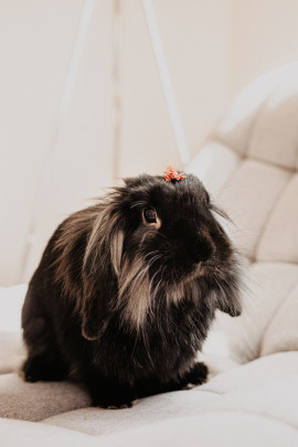 Séance Portrait à Orléans | Léane & Roméo